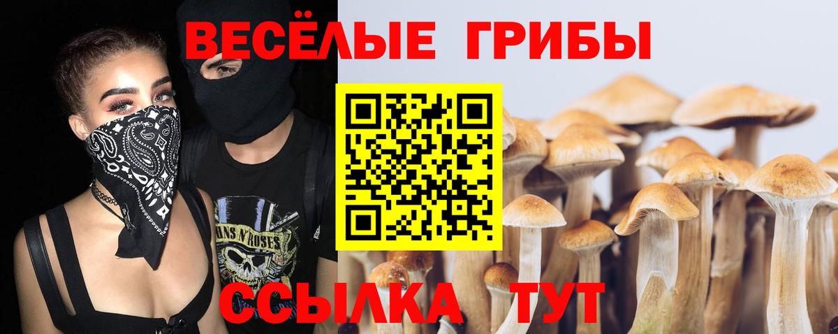 Кировск  Галлюциногенные грибы Magic Shrooms  Вход с VPN 